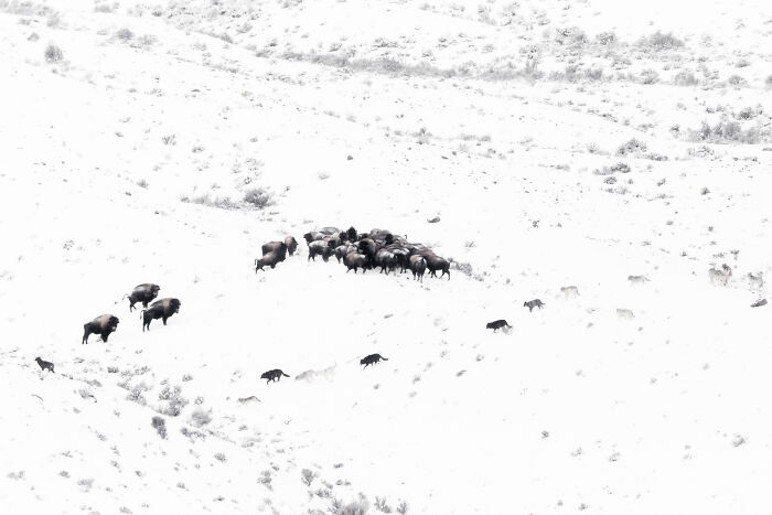 Wait Till You See These Wild Pics That Will Totally Blow Your Mind!