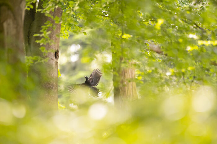 Wait Till You See These Wild Pics That Will Totally Blow Your Mind!