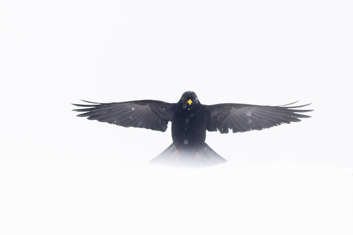 Wait Till You See These Wild Pics That Will Totally Blow Your Mind!