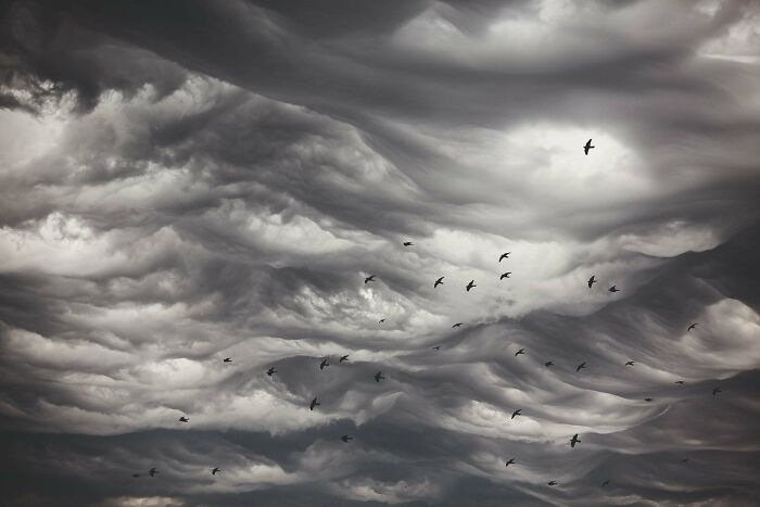 Wait Till You See These Wild Pics That Will Totally Blow Your Mind!