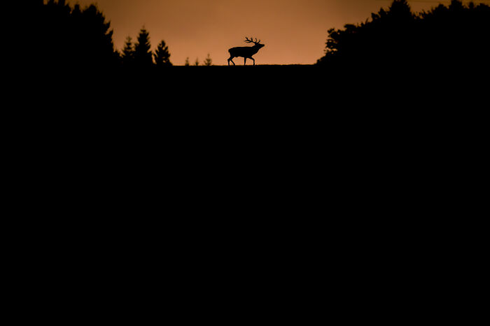 Wait Till You See These Wild Pics That Will Totally Blow Your Mind!