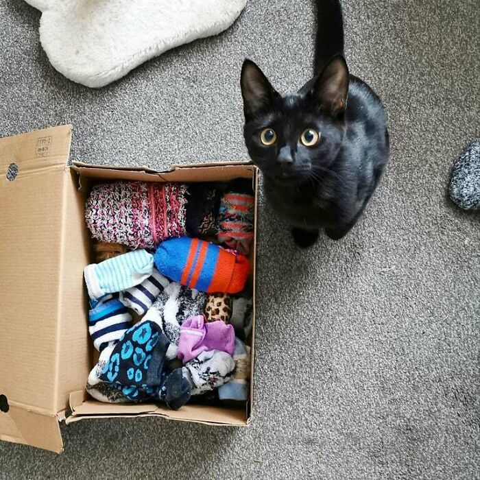 Maze’s Sock Collection Is Next Level