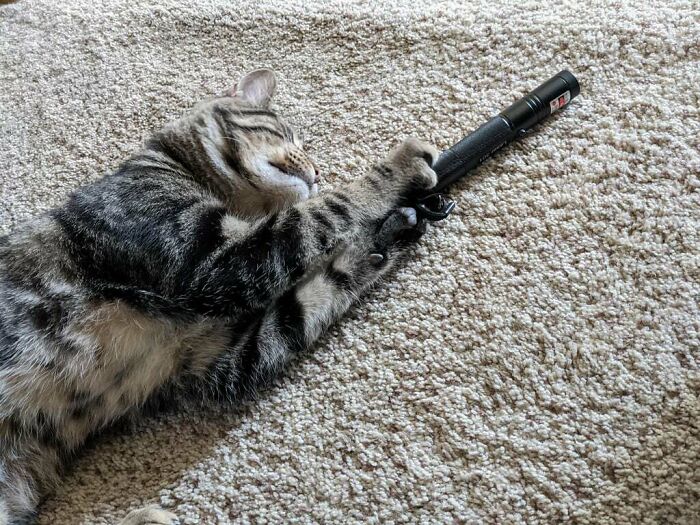 Laser Pointer Bandit, But Who Could Say No?