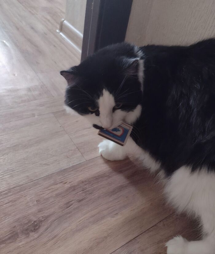 Matchstick Thief — Safety Hazard Alert