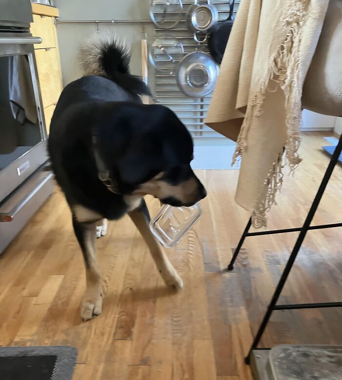 Murphy and the Great Butter Dish Caper