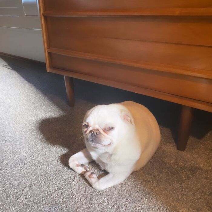 Lost My Arto A Year Ago, So I Turned It Into An iPhone Sticker. No Idea What’s Going On Here