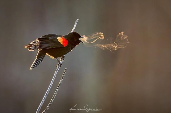 Wait, These Photos Totally Nailed The Perfect Moment!
