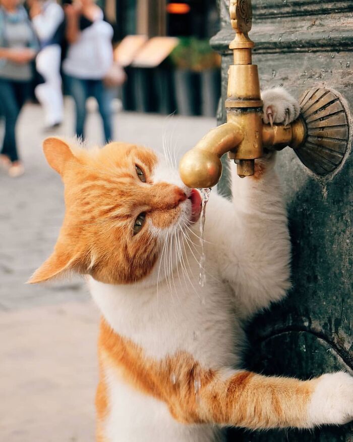 Wait, These Photos Totally Nailed The Perfect Moment!