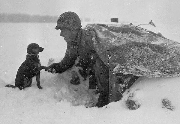 Wait, These Photos Totally Nailed The Perfect Moment!