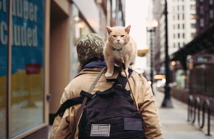 Wait, These Photos Totally Nailed The Perfect Moment!