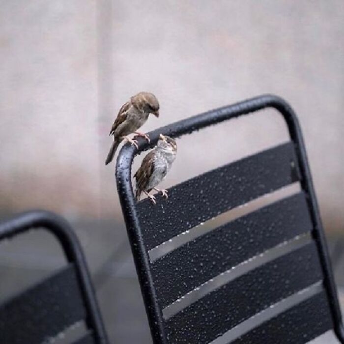 Wait, These Photos Totally Nailed The Perfect Moment!