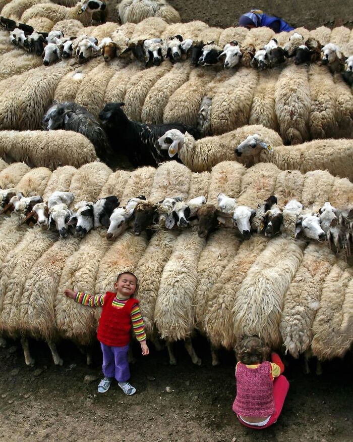 Wait, These Photos Totally Nailed The Perfect Moment!