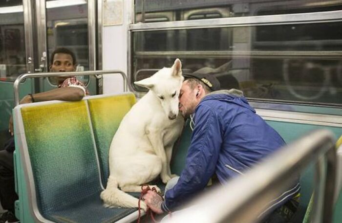 Wait, These Photos Totally Nailed The Perfect Moment!