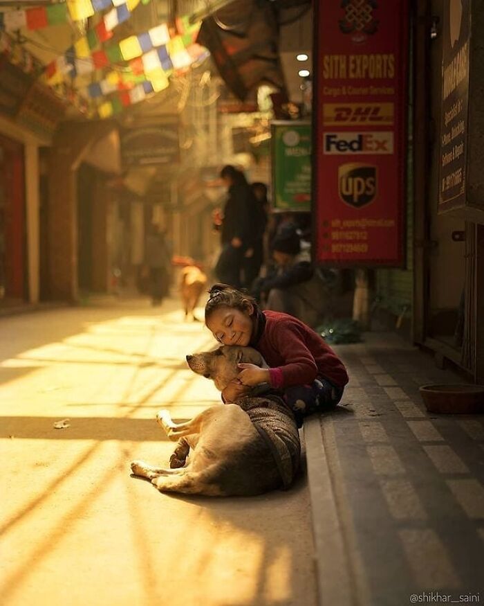 Wait, These Photos Totally Nailed The Perfect Moment!