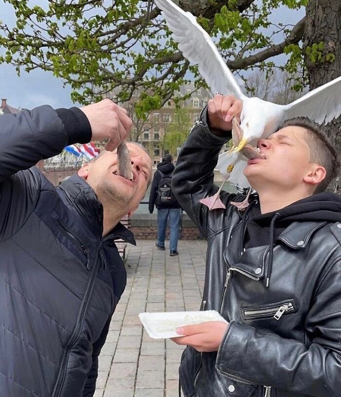 Wait, These Photos Totally Nailed The Perfect Moment!