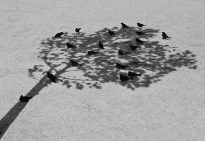 Wait, These Photos Totally Nailed The Perfect Moment!