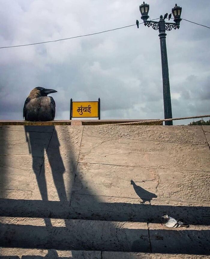 Wait, These Photos Totally Nailed The Perfect Moment!