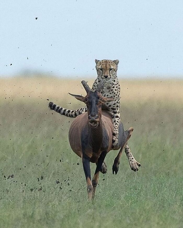 Wait, These Photos Totally Nailed The Perfect Moment!