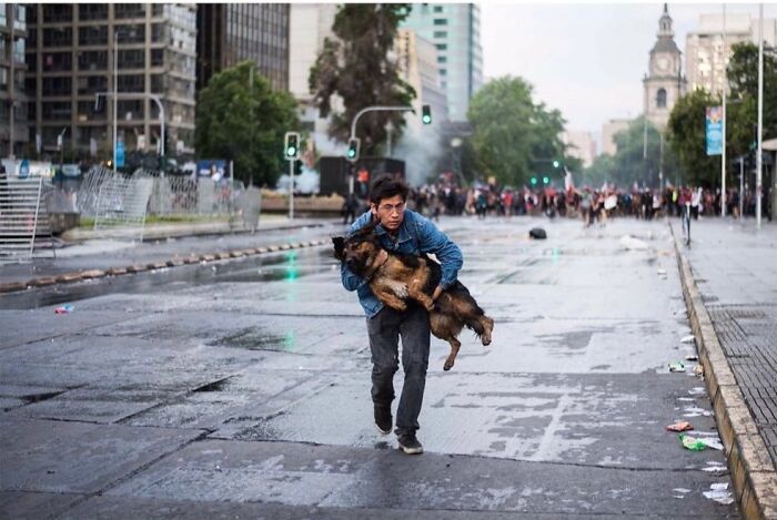 Wait, These Photos Totally Nailed The Perfect Moment!