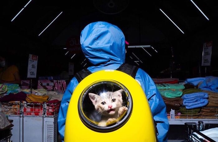 Wait, These Photos Totally Nailed The Perfect Moment!