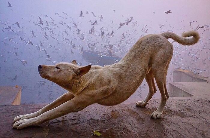 Wait, These Photos Totally Nailed The Perfect Moment!