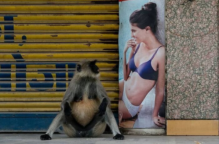 Wait, These Photos Totally Nailed The Perfect Moment!