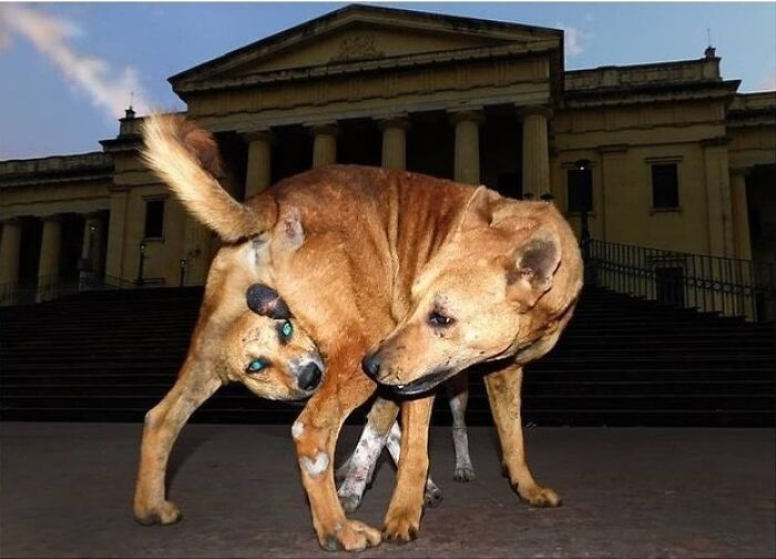 Wait, These Photos Totally Nailed The Perfect Moment!