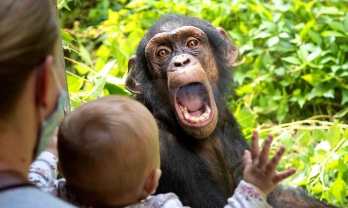 Wait, These Photos Totally Nailed The Perfect Moment!