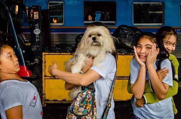 Wait, These Photos Totally Nailed The Perfect Moment!