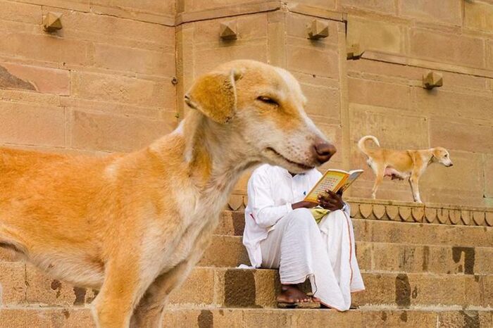 Wait, These Photos Totally Nailed The Perfect Moment!