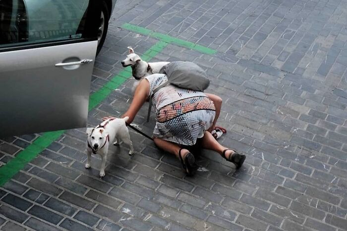 Wait, These Photos Totally Nailed The Perfect Moment!