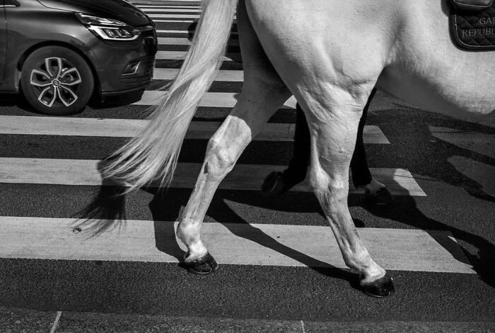 Wait, These Photos Totally Nailed The Perfect Moment!