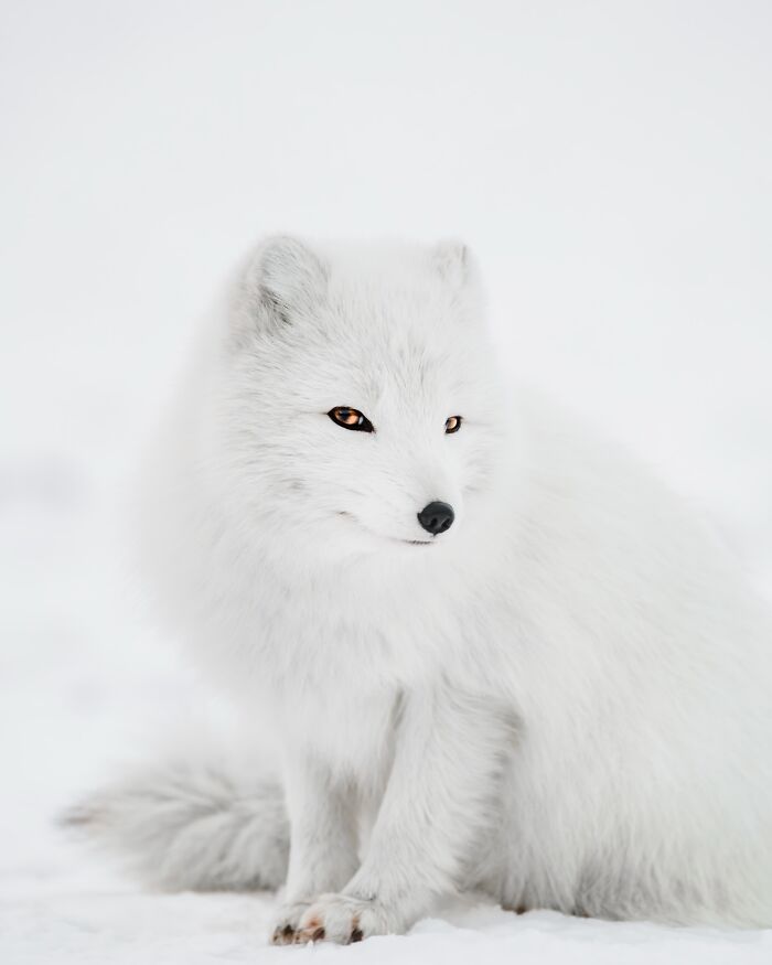 89 Iceland Pics That'll Make You Wonder If You're Actually on Mars