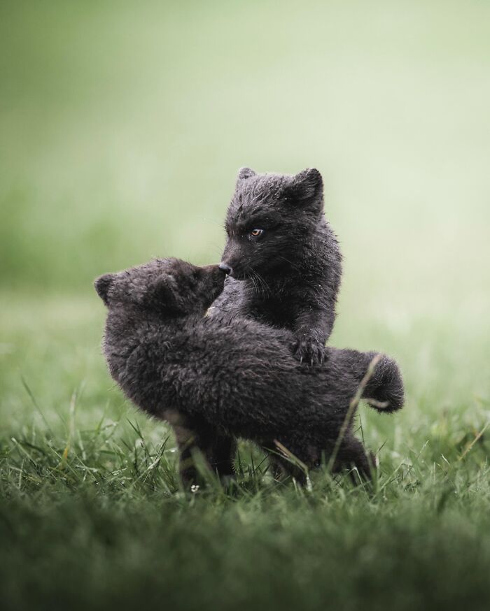 89 Iceland Pics That'll Make You Wonder If You're Actually on Mars