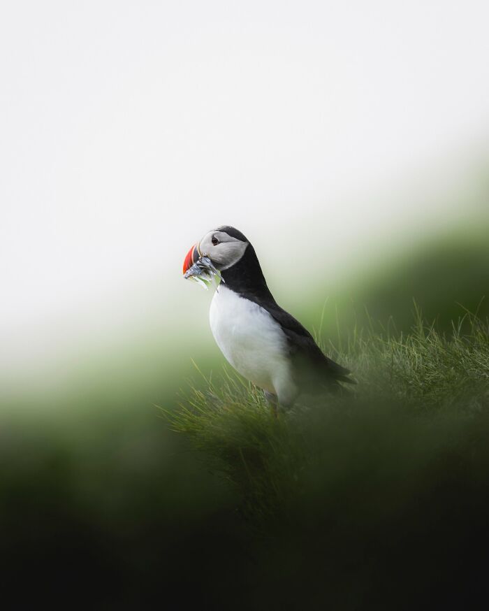 89 Iceland Pics That'll Make You Wonder If You're Actually on Mars