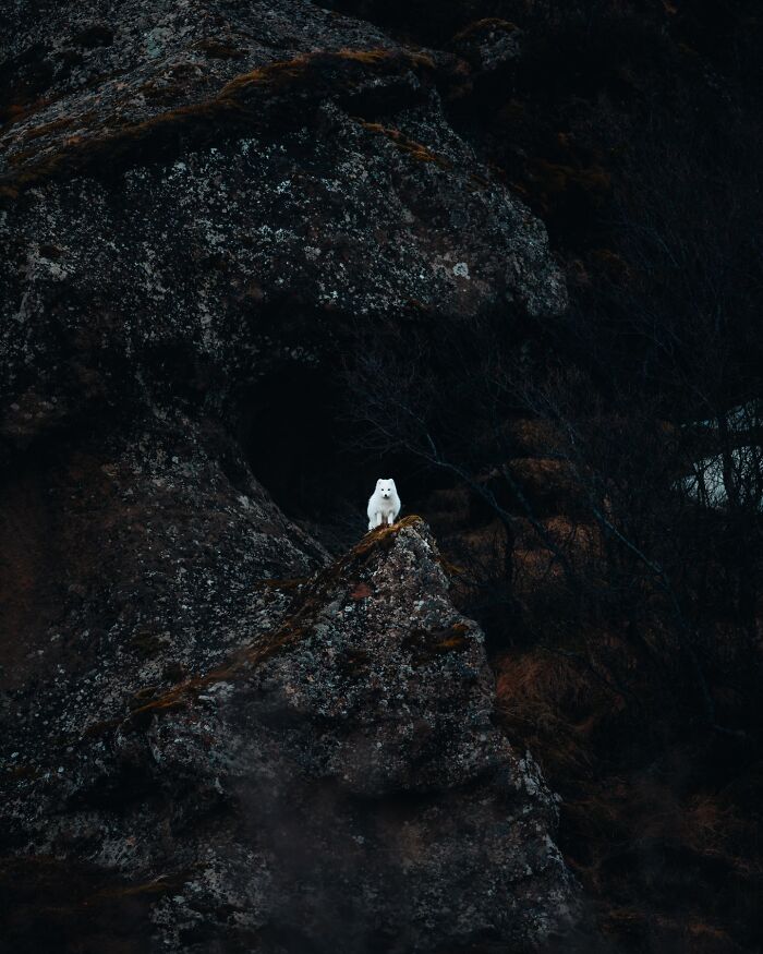 89 Iceland Pics That'll Make You Wonder If You're Actually on Mars