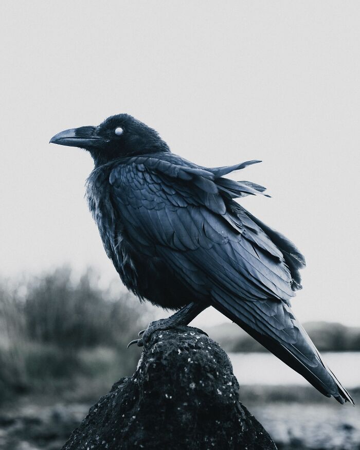 89 Iceland Pics That'll Make You Wonder If You're Actually on Mars