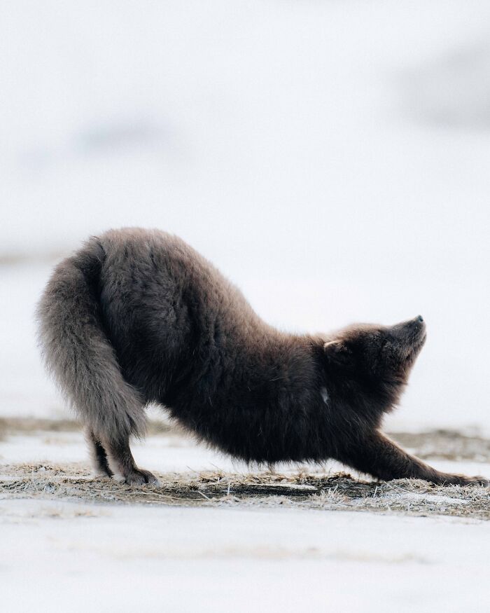 89 Iceland Pics That'll Make You Wonder If You're Actually on Mars