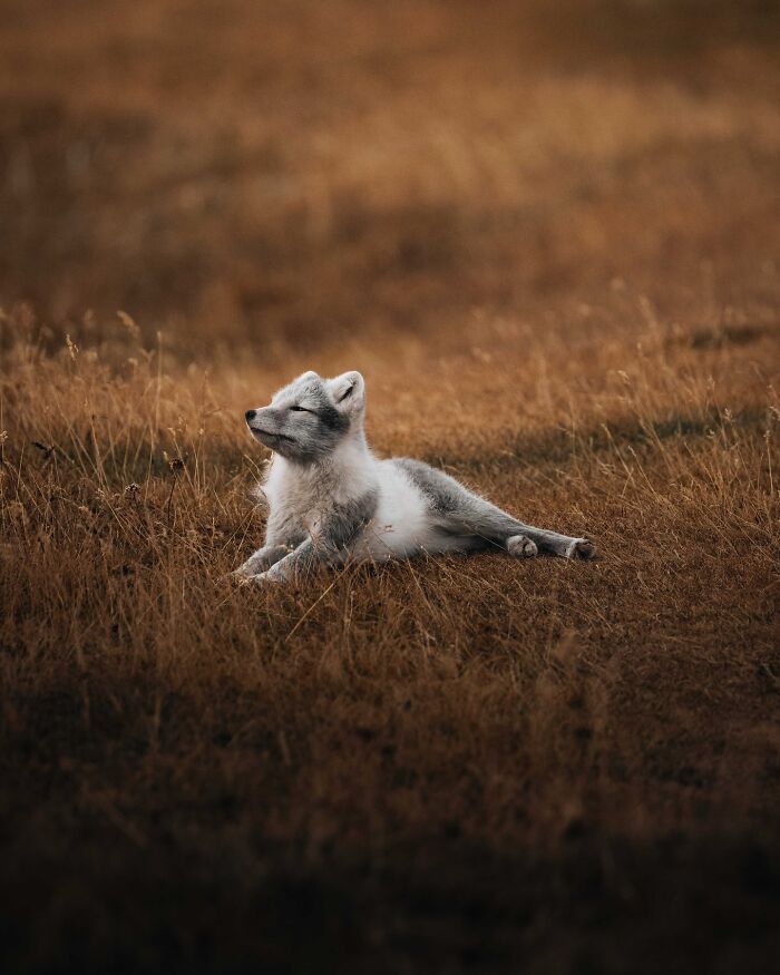 89 Iceland Pics That'll Make You Wonder If You're Actually on Mars