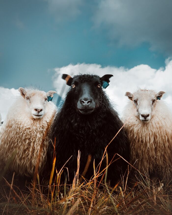 89 Iceland Pics That'll Make You Wonder If You're Actually on Mars