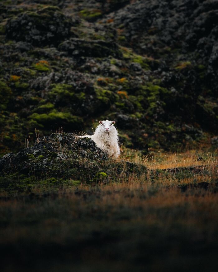 89 Iceland Pics That'll Make You Wonder If You're Actually on Mars