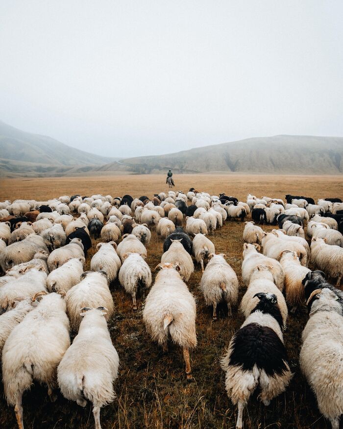 89 Iceland Pics That'll Make You Wonder If You're Actually on Mars