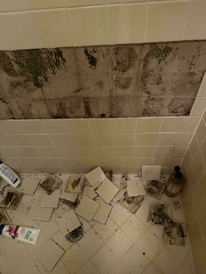 Took My First Shower in the New Place, Tiles Decided to Bail Mid-Wash