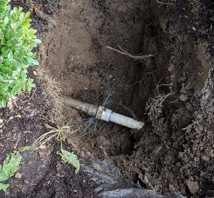 Pouring $6,000 Fixing Water Main Because Someone Went Cheap, Cheap, Cheap
