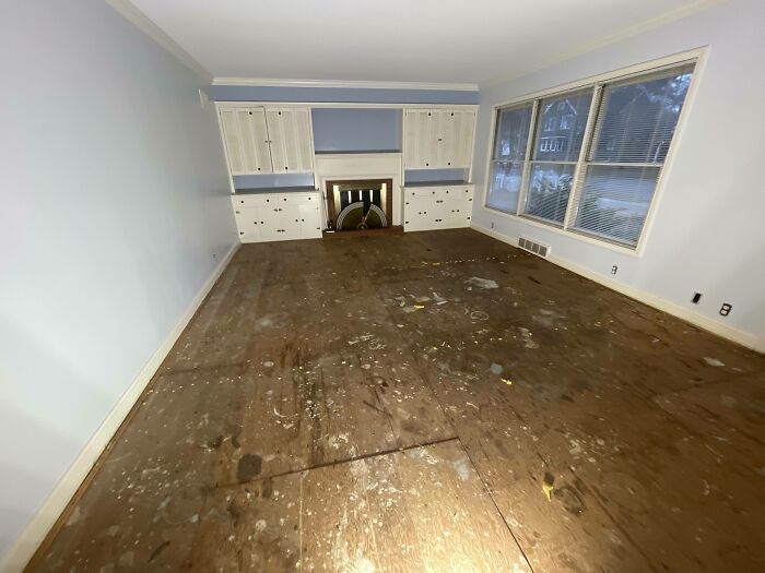 Was Told Hardwood Floors Lurk Under Carpet—Turns Out, Nope!