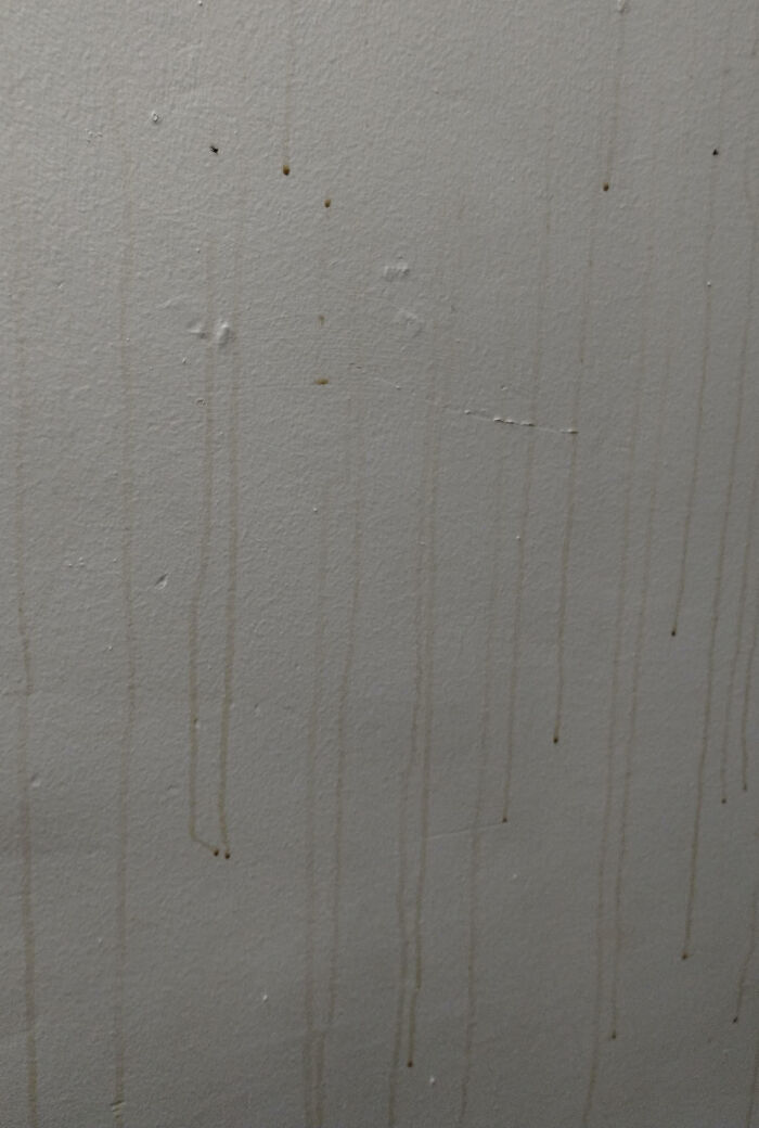 Flippers Painted Over Chain-Smoker Stains, Now Walls Leak Brown Goo