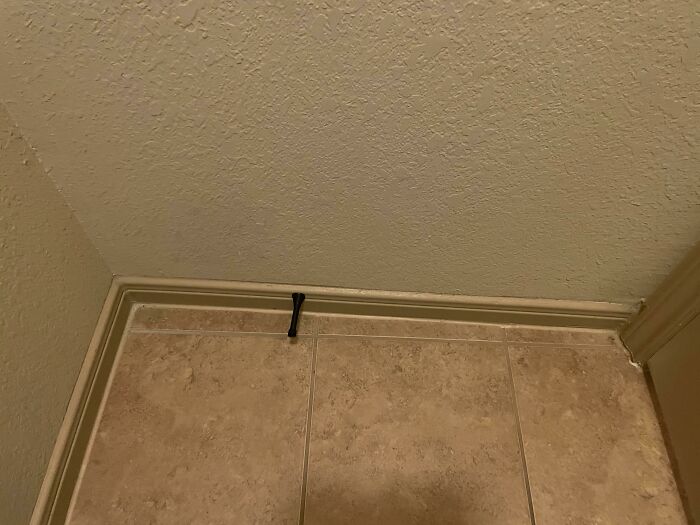 Dream House Wow! Except... The Master Toilet Room Isn’t Square