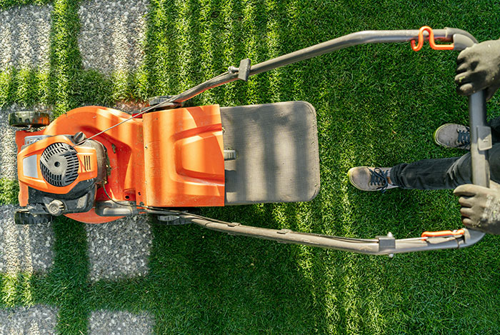 Wait, They Actually Did THIS Low-Key Revenge Stuff?