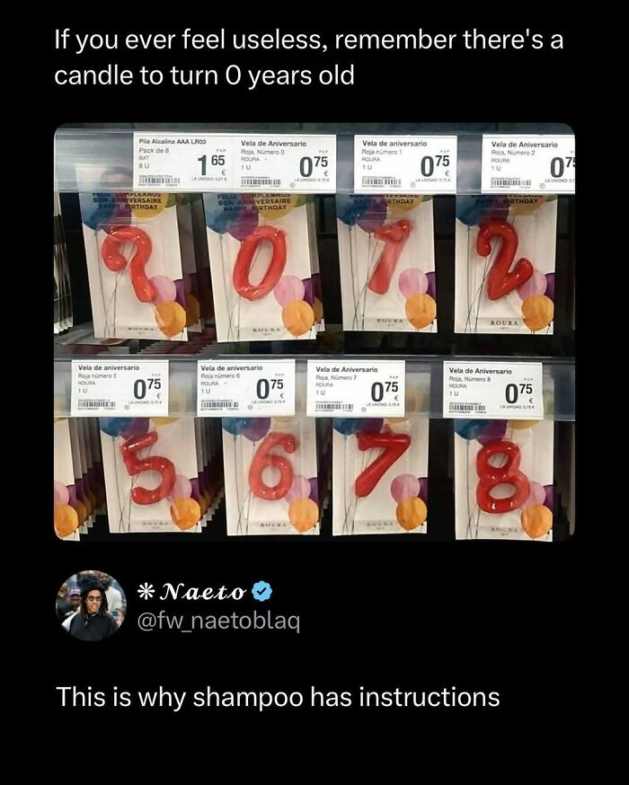 Wait, They Actually Ranked These Memes? Here Are 109 That Will Totally Distract You