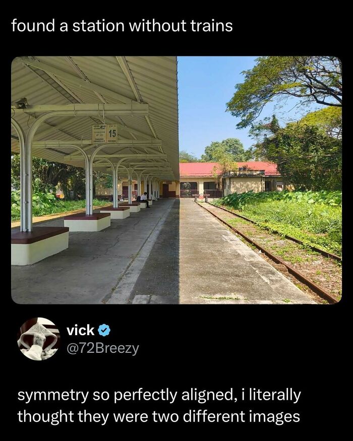 Wait, They Actually Ranked These Memes? Here Are 109 That Will Totally Distract You